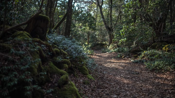 'Aokigahara' Stealer Targets 'Developer Keyrings' & AI Assistants