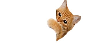 Anthropic 'SneakPeek' Flaw Is a Silent Zero-Click Threat
